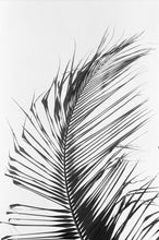 Load image into Gallery viewer, Coconut Tree Leaf Swimsuit Scoop Back