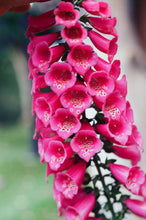 Load image into Gallery viewer, Bell Flower All-Over Print Women's Satin Kimono Robe