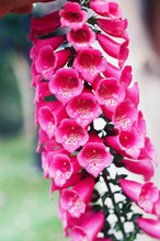 Load image into Gallery viewer, Bell flower Onepiece Swimsuit