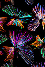 Load image into Gallery viewer, Marin White Lights Bikini