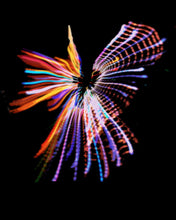 Load image into Gallery viewer, Marin Lights All-Over Print Women's Sports Shorts