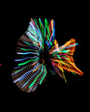 Load image into Gallery viewer, Marin Lights All-Over Print Women's Shorts