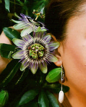 Load image into Gallery viewer, Passion Flower Skater Dress