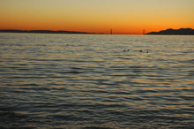 Load image into Gallery viewer, Golden Gate Bridge Swimsuit
