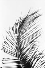 Load image into Gallery viewer, Coconut Tree Leaf Swimsuit Scoop Back
