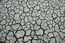 Load image into Gallery viewer, Custom Underwear Dry Lake Bed 3

