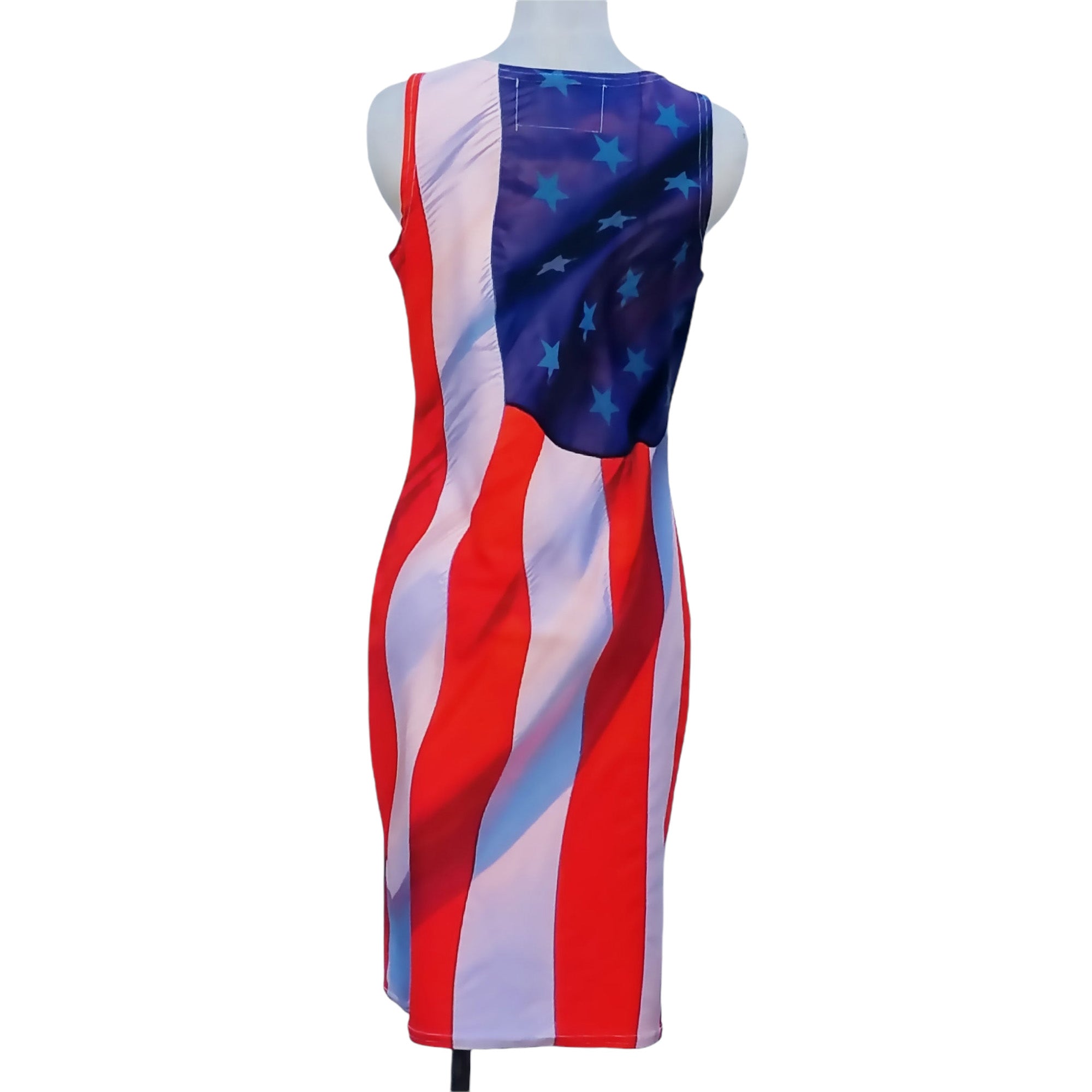 USA Flag Bodycon Dress – Wild Beautiful Clothing