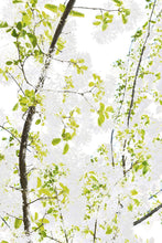 Load image into Gallery viewer, Oroville Tree Ao Dai

