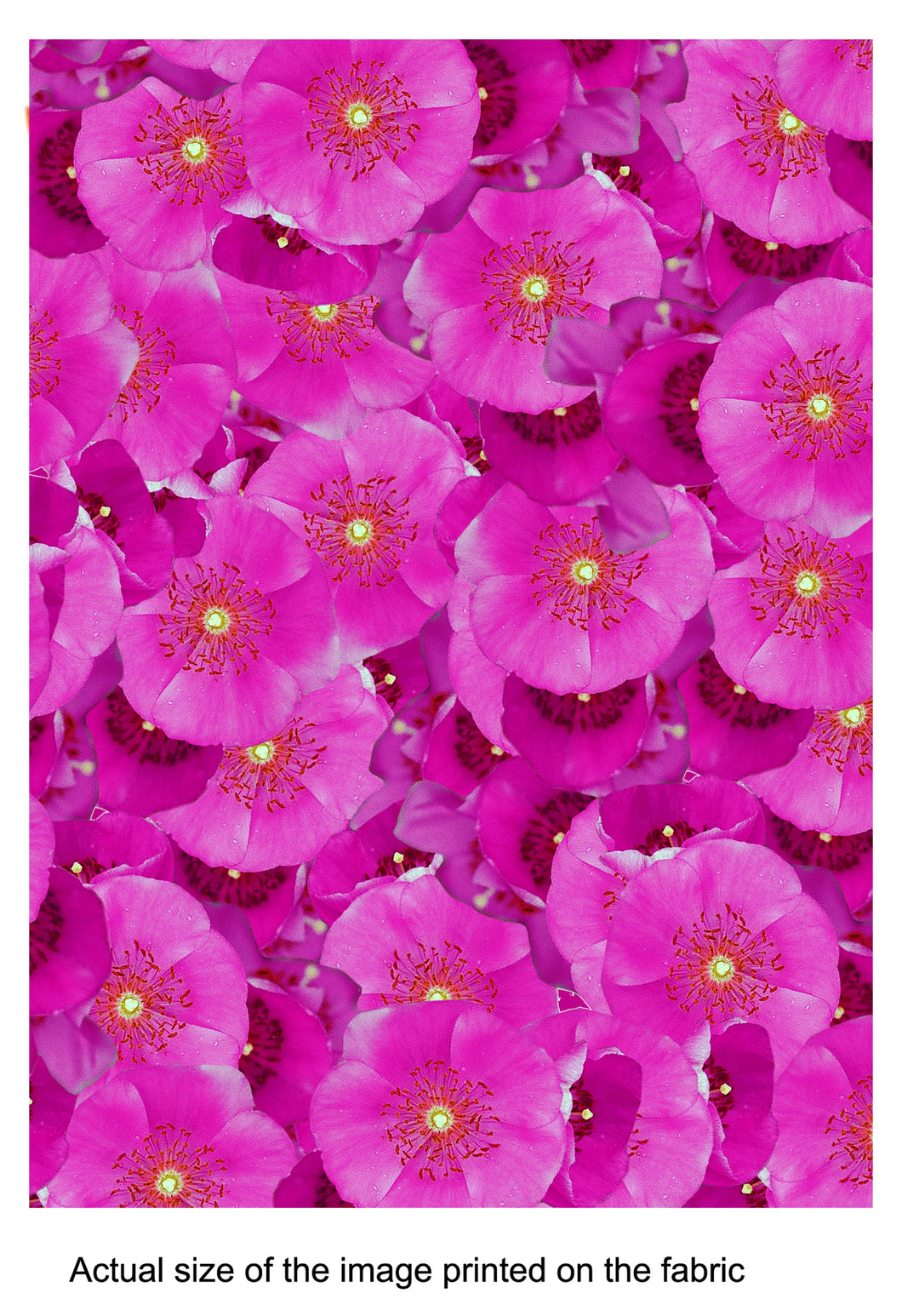 Violet Flowers Scarf