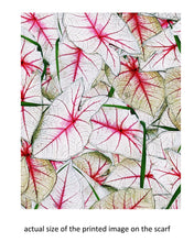 Load image into Gallery viewer, Caladium Leaves Scarf/Shawl

